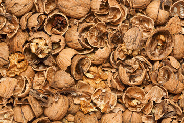 broken walnut shells