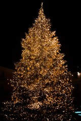 christmas tree lights