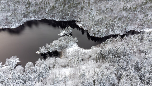 Drone photography of a lake and coniferous forest in winter season in Sweden. Aerial view of trees, snow and calm water. Copy space and place for text.