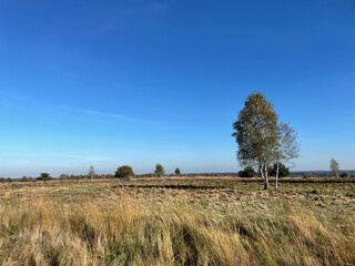 Autumn scenery at the Sallandse Heuvelrug