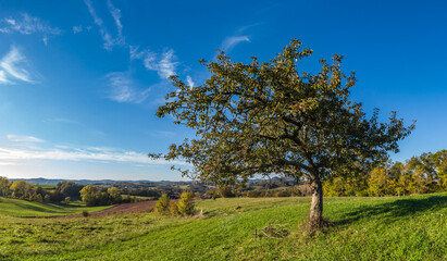 Fototapeta na wymiar Mansac (Corrèze, France) - Vue panoramique de l'Yssandonnais en automne