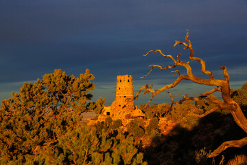 desert view watchtower and dead tree  in Grand Canyon National Park - 471868539