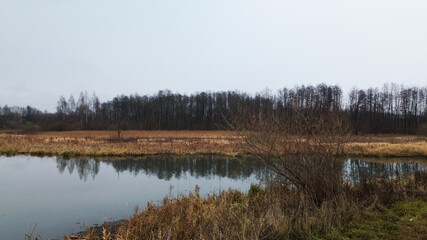 The river among the city park. Late autumn, cloudy. Trees without leaves and dried reeds along the banks of the river. Aerial photography.