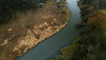 The river among the city park. Late autumn, cloudy. Dried reeds along the banks of the river. Fly the camera down. Aerial photography.