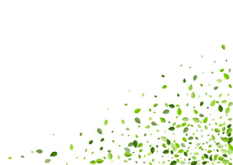 Green Greens Transparent Vector Wallpaper. Swirl