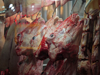 Sheep's head is a delicacy and displayed freely in butcher windows in Turkey