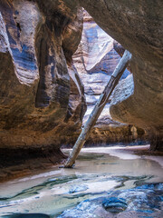 Inside Subway Canyon in Zion National Park