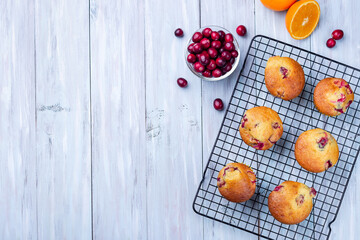 Cranberry orange muffins on cooling rack, horizontal, top view, copy space
