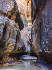 Inside Subway Canyon in Zion National Park