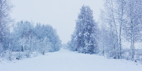 winter  snowy  cloudy landscape  with trees