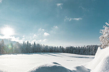 Verschneite Winterlandschaft mit Blauem Himmel und Tannenbäumen