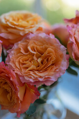Bouquet of pink and yellow roses in a glass vase om a wooden stool against blurred green tree behind big white window on a sunny spring or summer day. Interior decor.
