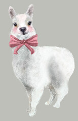 The animal is white, an Alpaca with a bow. Children's posters, prints and wrapping paper