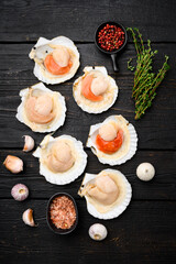 Obraz na płótnie Canvas Fresh scallops for a baked recipe, on black wooden table background, top view flat lay