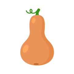 butternut squash gramma pumpkin vector illustration royalty free logo icon clipart 