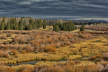 Approaching storm adds to golden, scenic Wyoming landscape's beauty