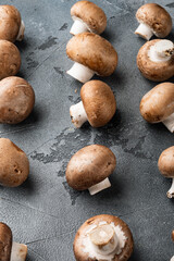 Raw mushrooms champignons, on gray background