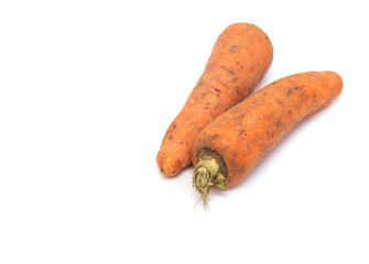 Dirty carrots on a white background.