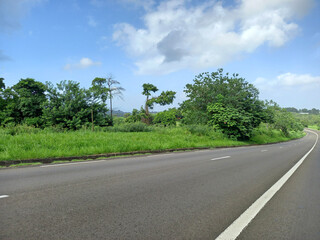 Straight and empty road in the French West Indies with lush vegetation under tropical blue sky with...