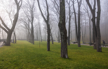 Volodymyrska Hill or Saint Volodymyr Hill is a large park located on the steep right-bank of the Dnipro River in central Kyiv, the capital of Ukraine.