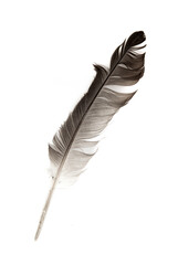 The feather is black on a white background.