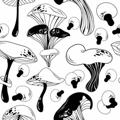 Mushroom seamless pattern. Porcini mushrooms, chanterelles, champignons, fly agarics. A set of ingredients for a witch's potion. Cartoon style. Design for textiles.