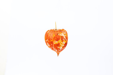 Obraz premium Physalis