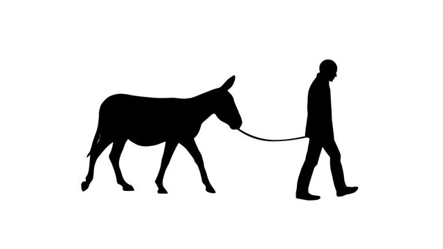 Man walking with a donkey, animation on the white background