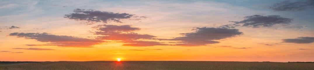 Naklejka na ściany i meble Landscape Of Wheat Field Under Scenic Summer Dramatic Sky In Sunset Dawn Sunrise. Skyline. Panorama, Panoramic View