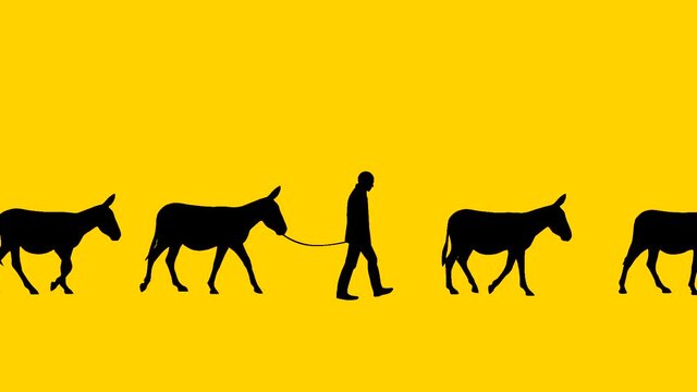 Man walking with donkeys, animation on the yellow background