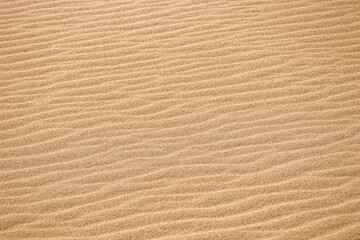 Fototapeta na wymiar Desert sand texture. Desert sand dune.