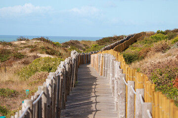 boardwalk through the sand dunes