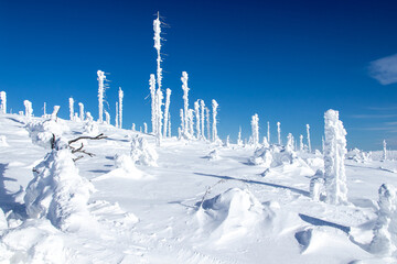 Snowy wonderland in Sumava national park