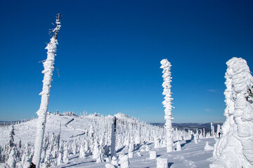 Snowy wonderland in Sumava national park