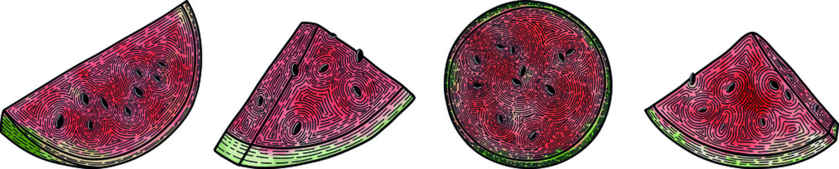 A set of watermelon slices vector watercolor. Watermelon slices watercolor graphics.watermelon set