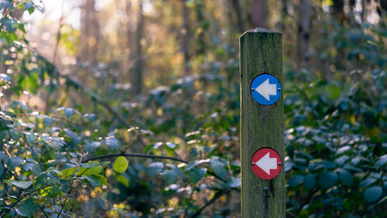 Hiking trail marker on a wooden post in wood