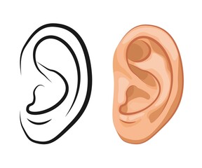 Ear human icons isolated on white background. Body part, human organ
