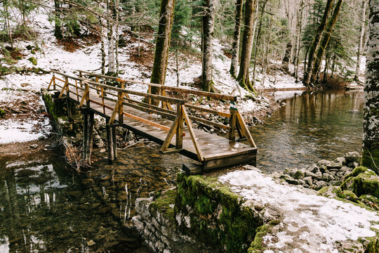 Wooden pedestrian bridge over the lake in the Biogradska Gora park. Montenegro
