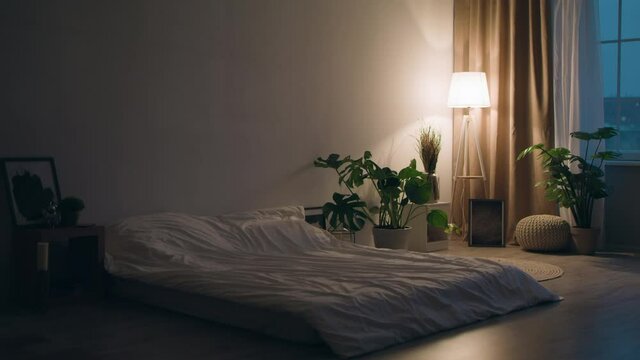 Evening interior design of empty cozy bedroom with domestic plants and turned on night light, tracking shot, slow motion