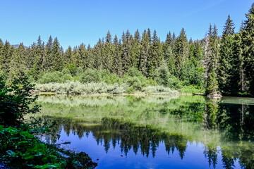 Flims, Lag Prau Tuleritg, Lag Tuleritg, Bergsee, Graubünden, Flimser Wald, Prau Pulté Bach, Caumasee, See, Wanderweg, Waldweg, Tannenwald, Rheinschlucht, Sommer, Alpen, Schweiz