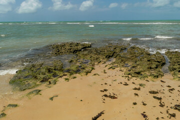 Linda vista de praia com muitas pedras e um céu azul
