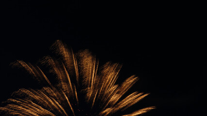 Gold and orange feathery fireworks against a black sky 