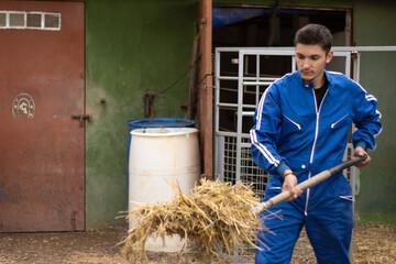young man cleaning his animals' stall by shoveling up the straw and leftover feed.animal care and cleaning concept. Agriculture and Livestock - obrazy, fototapety, plakaty