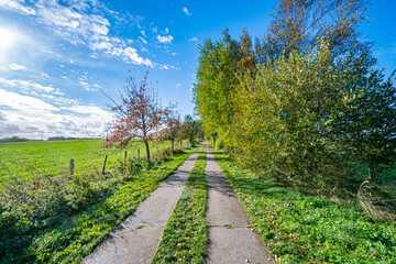 Radweg und Wanderweg bei Ahrenshoop Fischland Darß