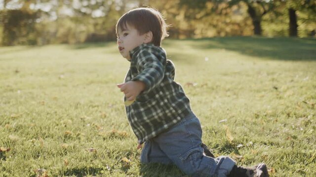 A funny playful puppy sticks to the baby and wants to play. Children and pets - cute and funny videos
