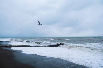 Stormy weather on the seashore