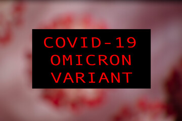Covid 19 new variant omicron