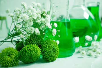 laboratory flask flower on a light background