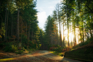 Obraz premium Tramonto in montagna