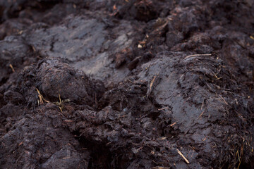 close up of animal dung for fertilizing land